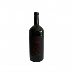 Antinori - Pian delle Vigne 2004 Magnum