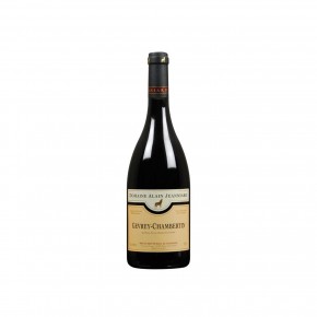 Domaine Alain Jeanniard - Gevrey Chambertin 2019 Magnum