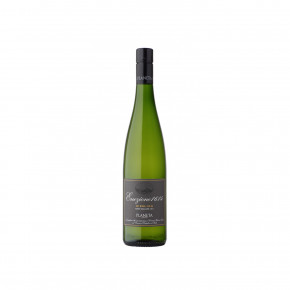 Planeta - Riesling Terre Siciliane IGT Eruzione 1614 2019