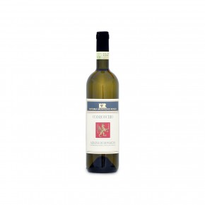 Monticino Rosso - Codronchio 2013 MAGNUM