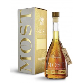 Bepi Tosolini - Most Barrique 450 cl