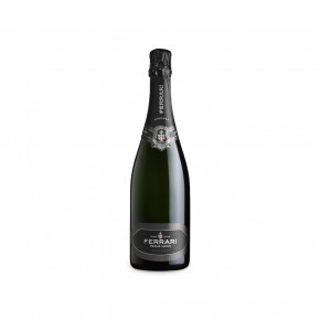 Ferrari - Trento DOC Perlé Nero 2013 Magnum