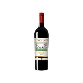 Avignonesi - Merlot Desiderio 2018 Bio Magnum