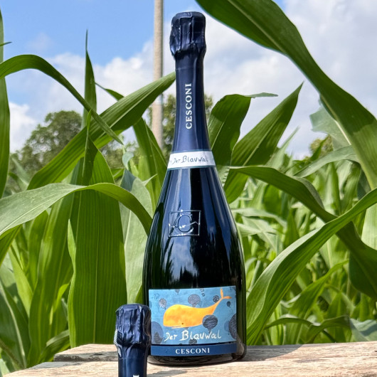 Cesconi - Trento DOC Extra Brut Riserva Blauwal A.P. 2011