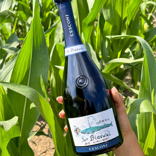 Cesconi - Trento DOC Der Blauwal Riserva 2013