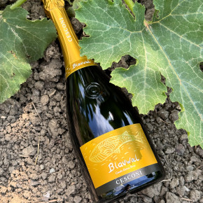 Cesconi - Blauwal Cuvée Extra Brut Trento DOC Bio Magnum 2