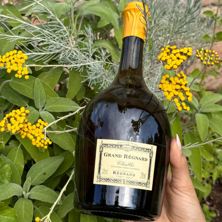 Regnard - Chablis Grand Regnard 2021