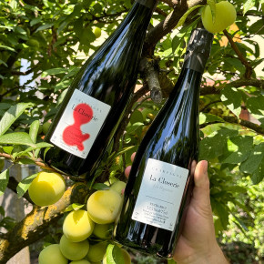 Jerome Prevost - Champagne Extra Brut La Closerie Les Béguines 2