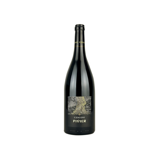 Cesconi - Pivier Merlot 2019 Vigneti delle Dolomiti Rosso IGT