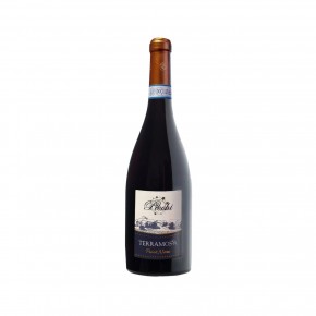 Picchi - Terramossa Pinot Nero 2019 Magnum