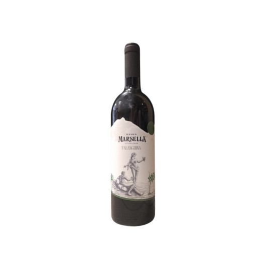 Guido Marsella - Falanghina Beneventano 2021