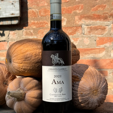 Castello di Ama - Chianti Classico Ama 2021