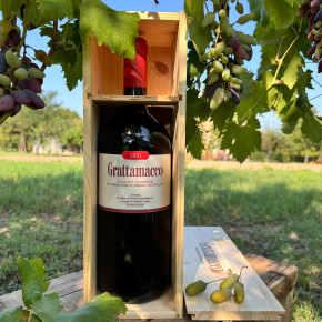 Grattamacco - Bolgheri Rosso Superiore DOC 2021 Magnum in Cassa 2
