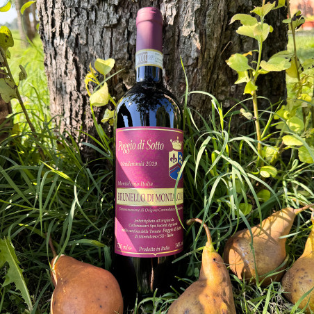 Poggio di Sotto - Brunello di Montalcino Vendemmia 2019