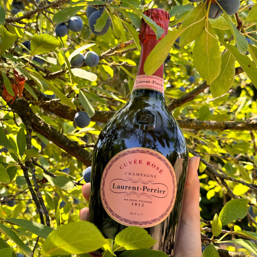 Laurent Perrier - Champagne Cuvée Rosé Brut