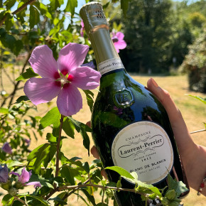 Laurent Perrier - Champagne Brut Nature Blanc de Blancs 2