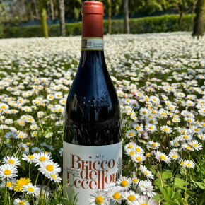 Braida - Bricco dell’Uccellone 2019 2