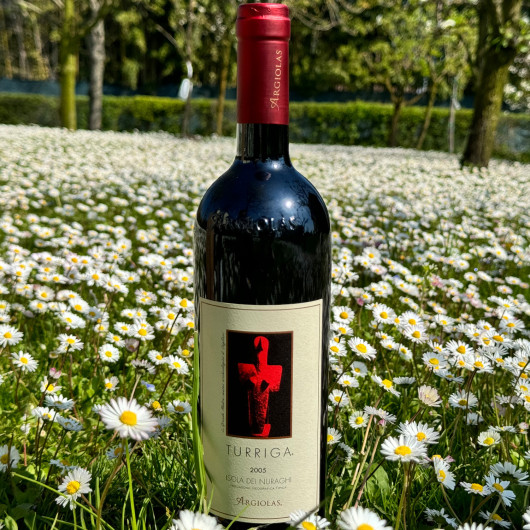 Argiolas - Isola dei Nuraghi Turriga...