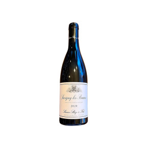 Domaine Simon Bize - Savigny les Beaune Rouge 2020