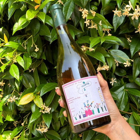 Chateau de la Gardine - Châteauneuf du Pape blanc cuvée Mamie