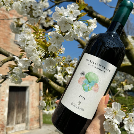 Milazzo - Maria Costanza Bianco BIO D.O.P. Riserva 2020