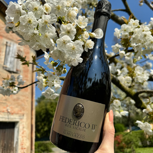 Milazzo - Federico II Rex Sicilie 2017 astucciata