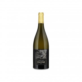 Cesconi - Olivar 2021