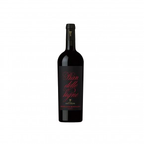 Marchesi Antinori - Brunello di Montalcino DOCG Pian Delle Vigne 2013