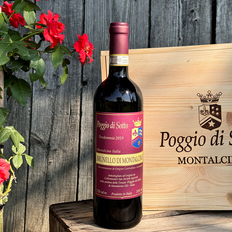 brunello di montalcino