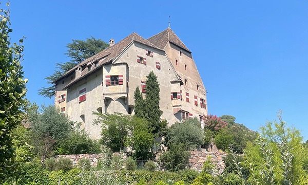 Strada del Vino ad Appiano: visita alla cantina di Schloss Englar